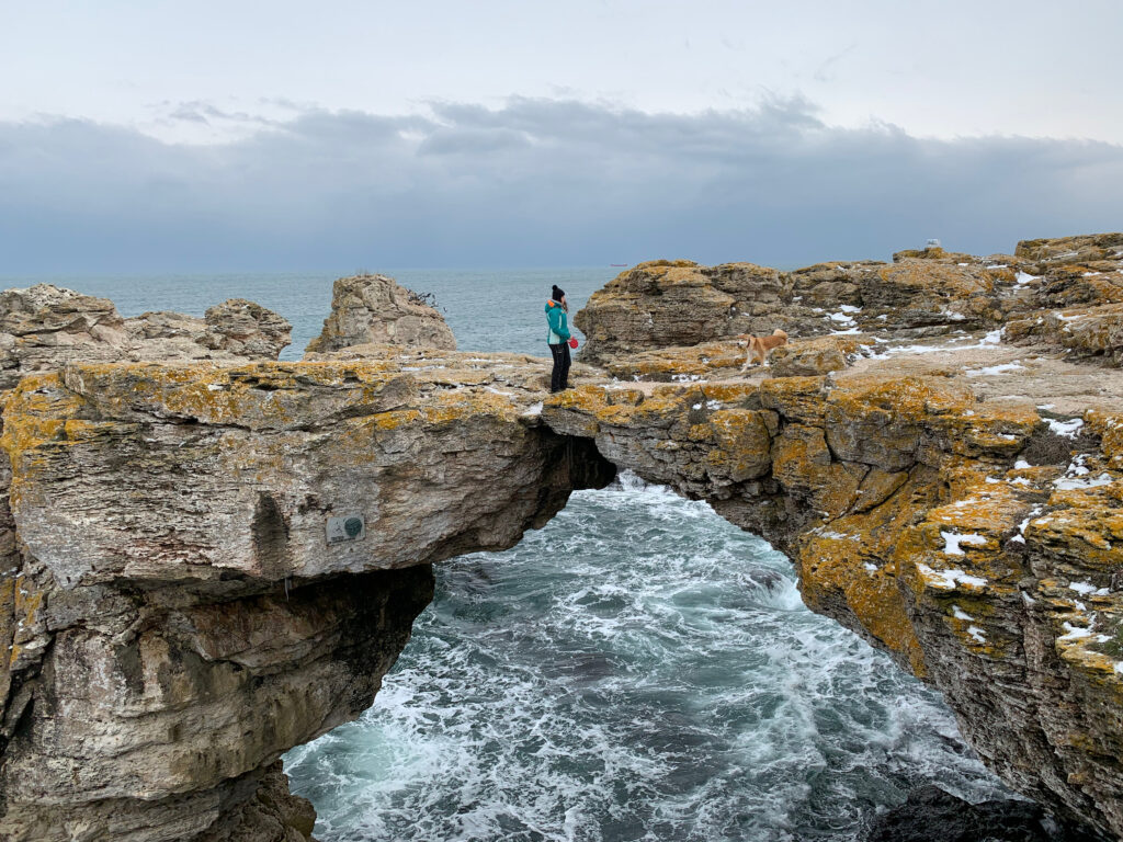 Akita discovers the beauty of the coast