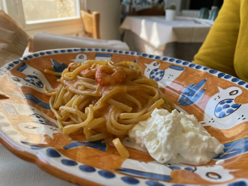 Discover Nocelle 