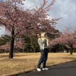 Our first spring in Japan with our Akita Inu in Kagoshima